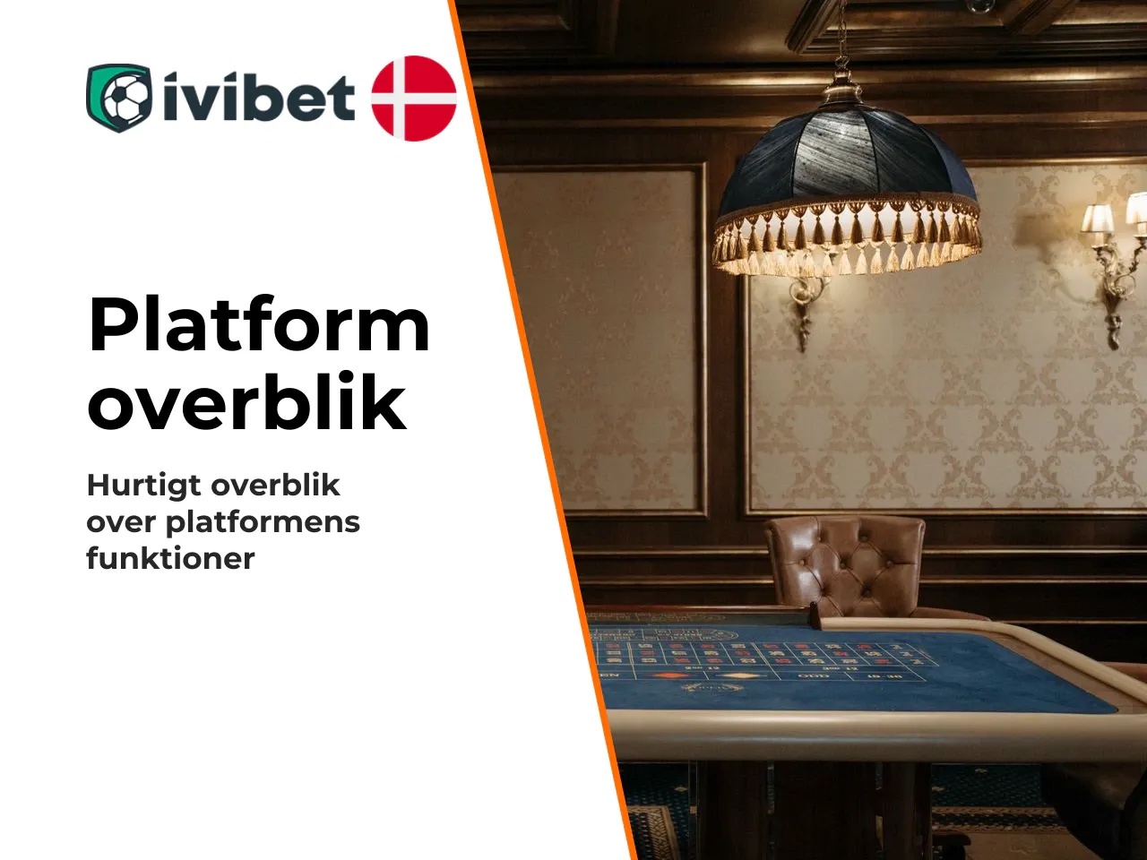 Kort fortalt Ivibet på 30 sekunder