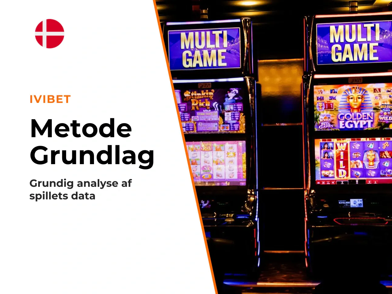 11. Metodisk grundlag og datakilder. Denne
