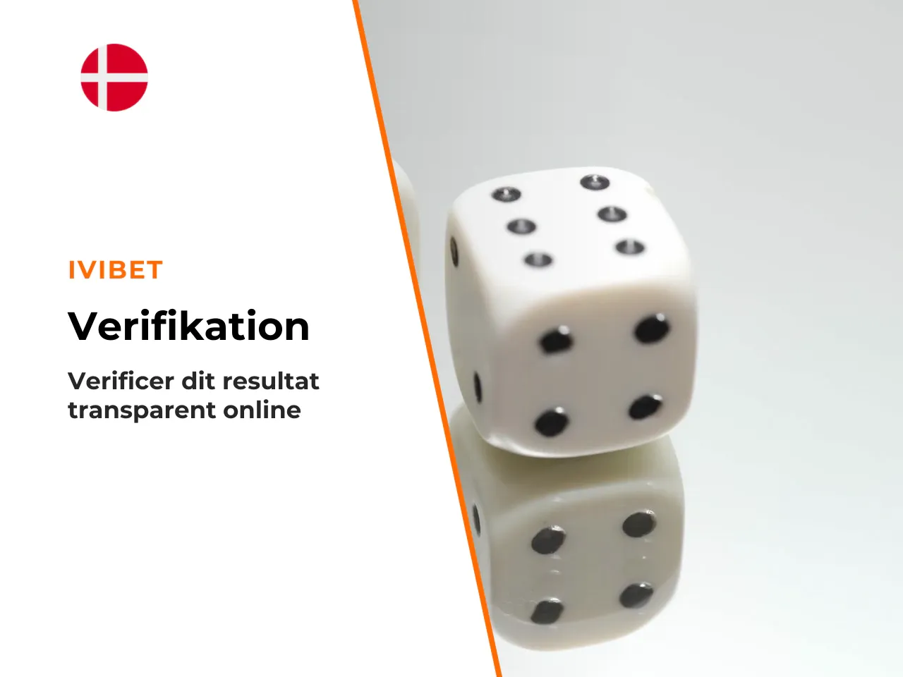 Appendiks A verifikation og forbehold. Sådan