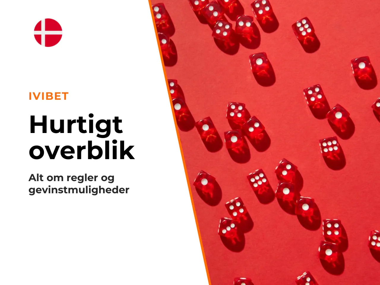 Det korte overblik