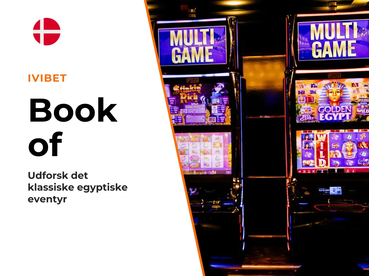 Hvad er Book of Ra slot
