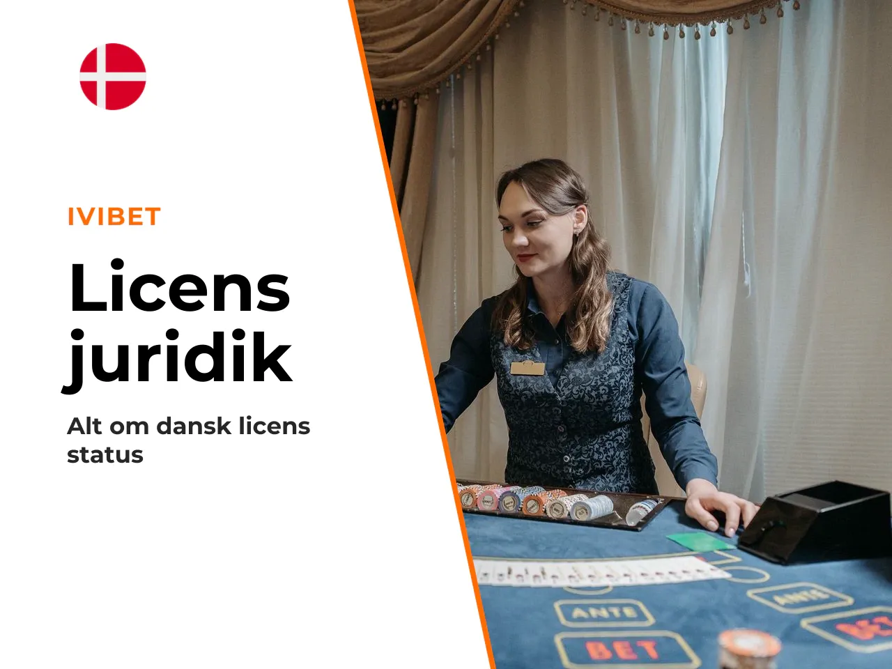 Licens og juridisk status i Danmark