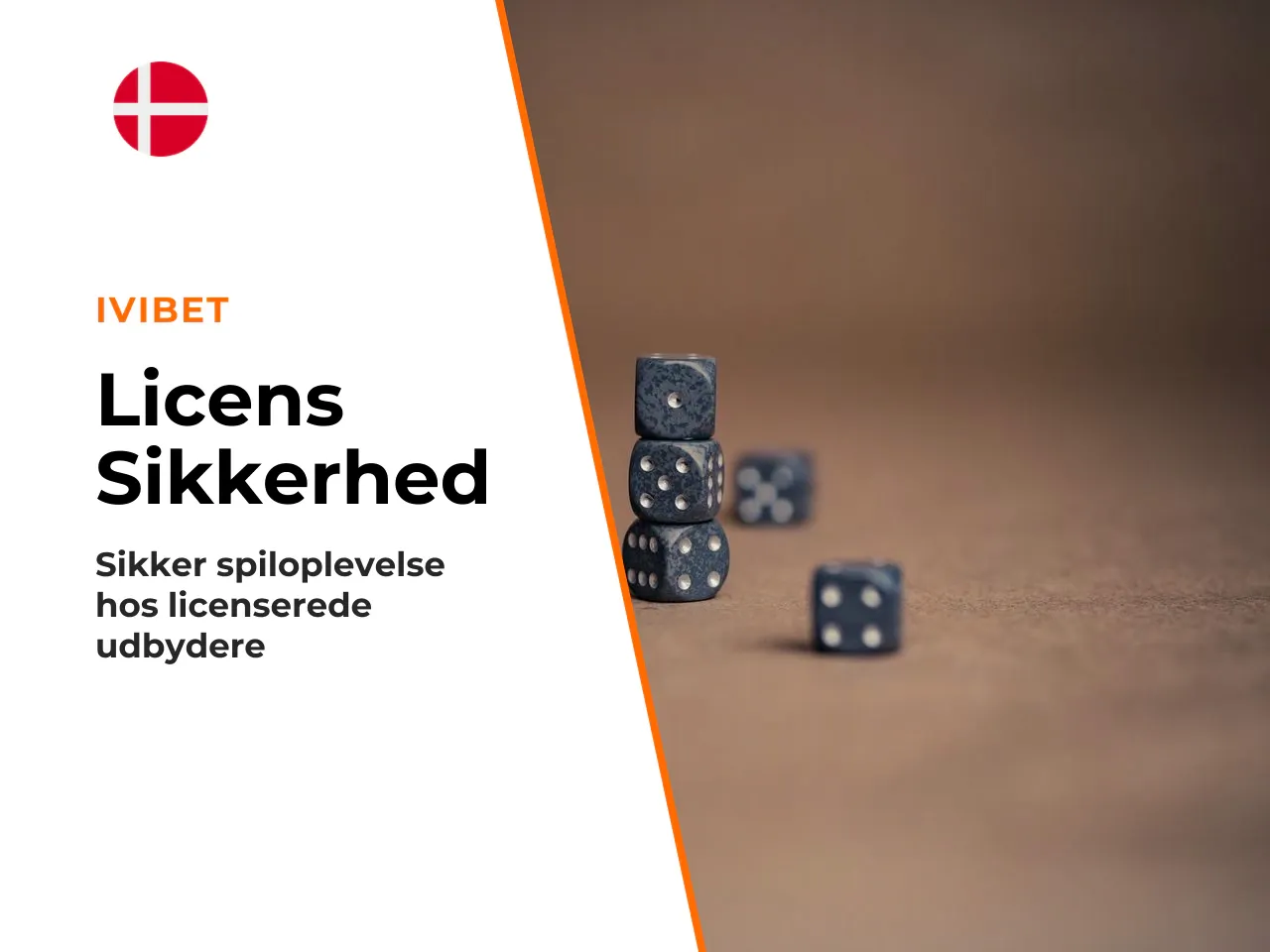 Det understreger, hvorfor licenskontrol er første