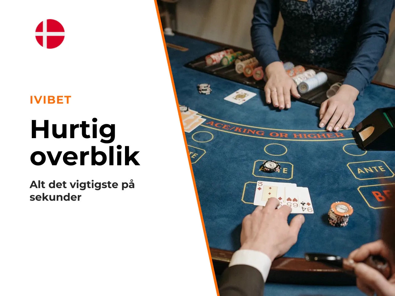 Det vigtigste på 30 sekunder